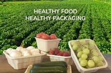 Oceania Packaging Debuts Article Thumbnail