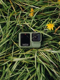 Limited-Edition Forest Green Cameras