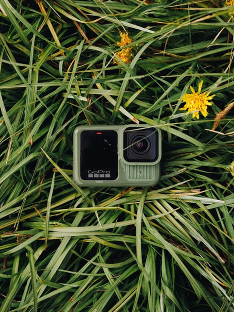 Limited-Edition Forest Green Cameras