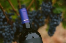 Serendipitous Red Wines