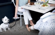 Dog-Friendly Dining Events