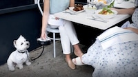 Dog-Friendly Dining Events Image 1
