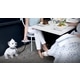 Dog-Friendly Dining Events Image 1