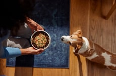 Fresh Pet Foods