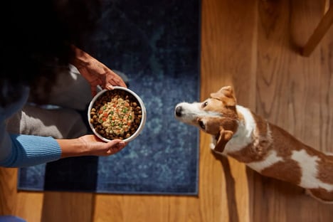 Fresh Pet Foods