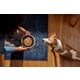 Fresh Pet Foods Image 1
