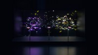Immersive Auto-Focused Artistic Experiences Image 2
