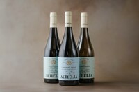Premium Cabernet Franc Wines Image 2