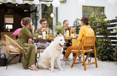 Dog-Friendly Patio Menus