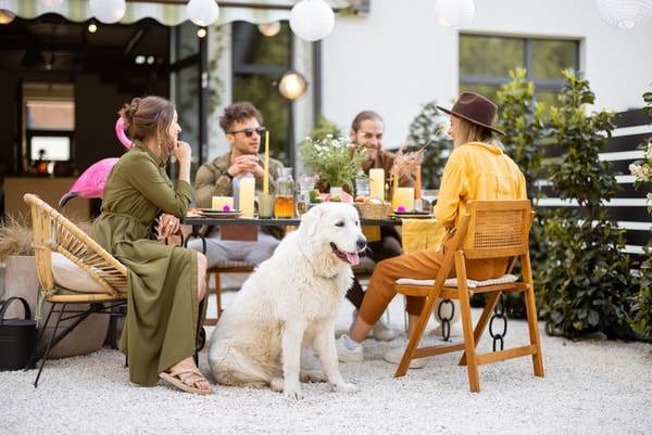 Dog-Friendly Patio Menus
