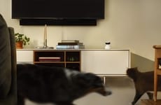 AI-Powered Pet Cameras