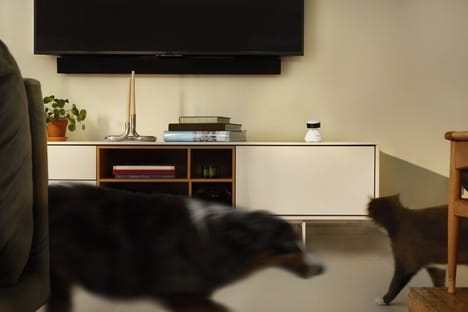 AI-Powered Pet Cameras