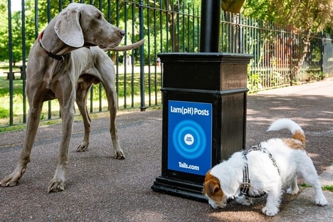 Pop-Up Pet Screenings