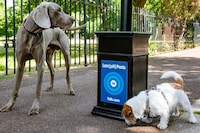 Pop-Up Pet Screenings