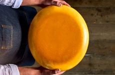 Sustainable Cheesemaking Cultures