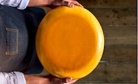Sustainable Cheesemaking Cultures Image 1