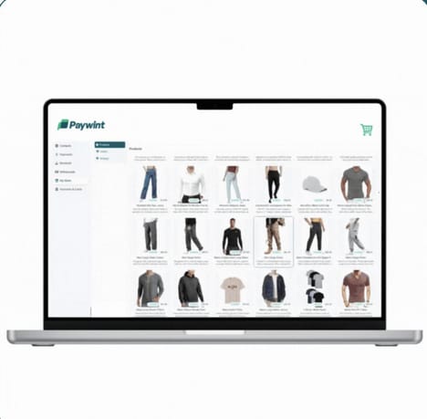 Instant Payment Platforms