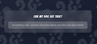 Pet Safety Assistants