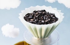 Single-Ingredient Coffee Alternatives