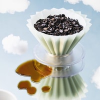 Single-Ingredient Coffee Alternatives