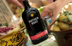 Non-Alcoholic Rhubarb Aperitifs