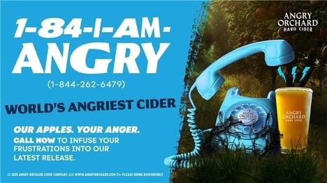 Spice-Infused Apple Ciders