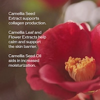 Technologically Advanced Skin Serums Image 4