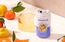 Elevated Citrus Sparkling Waters