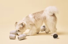 Pet-Enriching Pill Packaging
