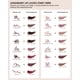 Lip Liner Shade Expansions Image 5
