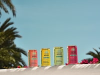 Premium Canned Margaritas Image 4