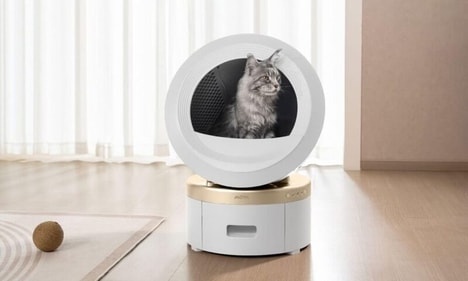 Air-Purifying Litter Boxes