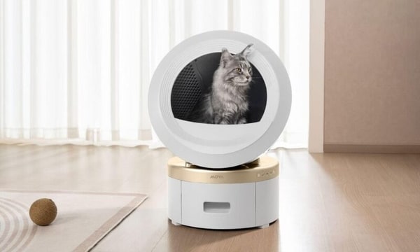 Air-Purifying Litter Boxes