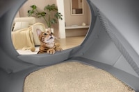 Air-Purifying Litter Boxes Image 3