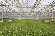 Controlled Agriculture Farms