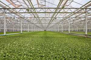 Controlled Agriculture Farms Article Thubnail