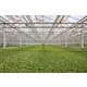 Controlled Agriculture Farms Image 1