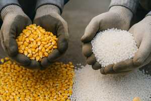 Biodegradable Material Expansions Article Thubnail