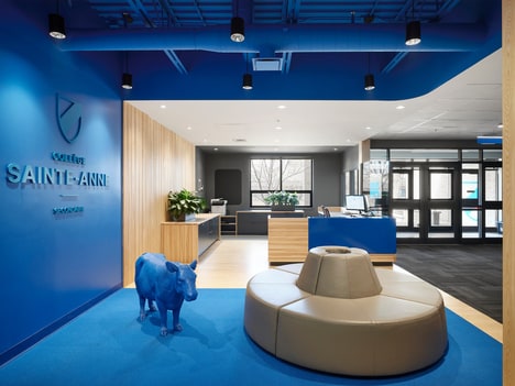 Modern Blue-Accented Academic Buildings