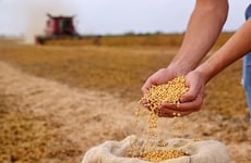 Soybean Farm Innovations
