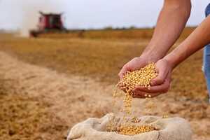 Soybean Farm Innovations Article Thubnail