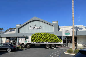 Premium Coconut Water Expansions Article Thubnail