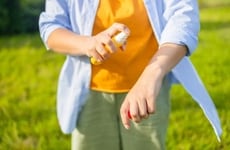 Eco-Friendly Bug Sprays