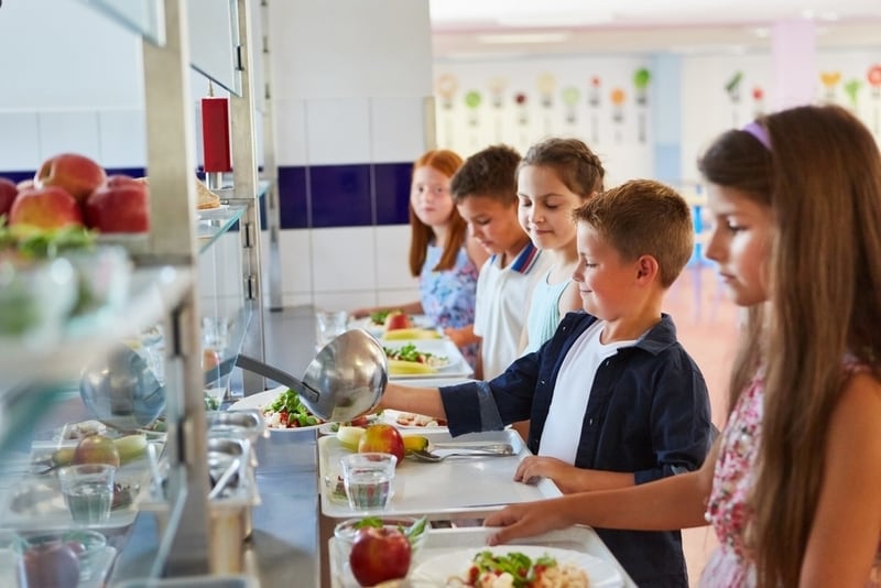 Plant-Based Lunch Containers Article Thubnail