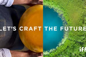 Breakthrough Cheesemaking Cultures Article Thubnail