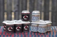 Sustainable Beer Packaging Transitions