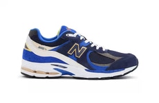 Sporty Collaborative Lifestyle Shoes