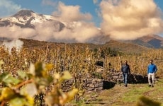 Uniquely Positioned Wine Estates