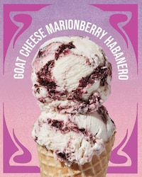 Jammy Ice Cream Collections Image 4
