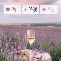 France-Themed Wine Tastings Image 2